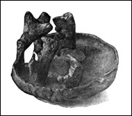 Люди под масками животных и птиц