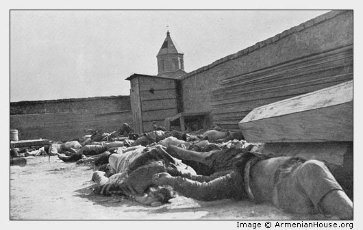 Baku. Corpses in the Cemetery.